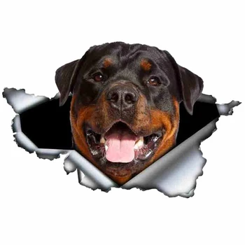 Amuzant Rottweiler Autocolant Masina Rupt de Metal Decal Autocolante Reflectorizante Câine de Companie Decalcomanii 3D Rott Styling Auto,13cm*8cm